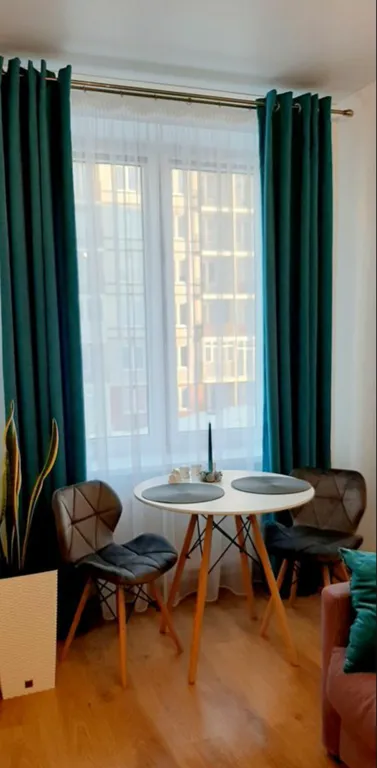 Уютная Студия в Светлогорске-1