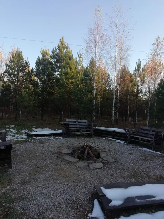 Дом в лесу с бассеином