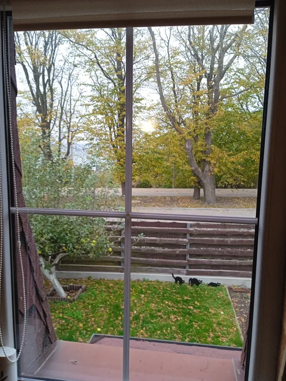 Гостевой дом Отдых у моря