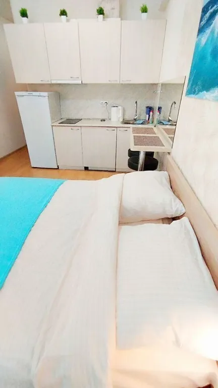 Уютная студия в Дагомысе