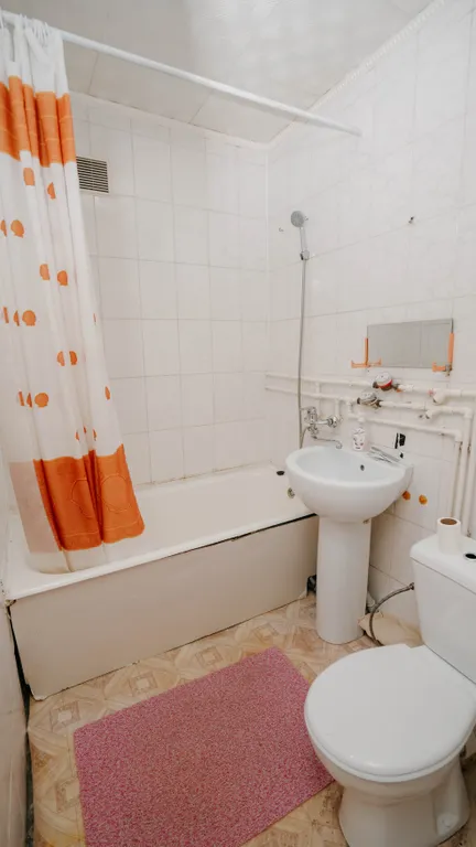 Econom Bagira, просторная однушечка в центре