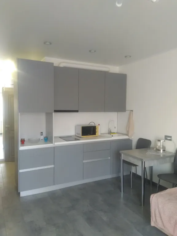 Просторная студия в экологически чистом районе