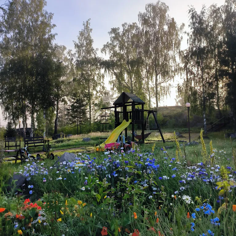 Дом на берегу озера с видом на лес