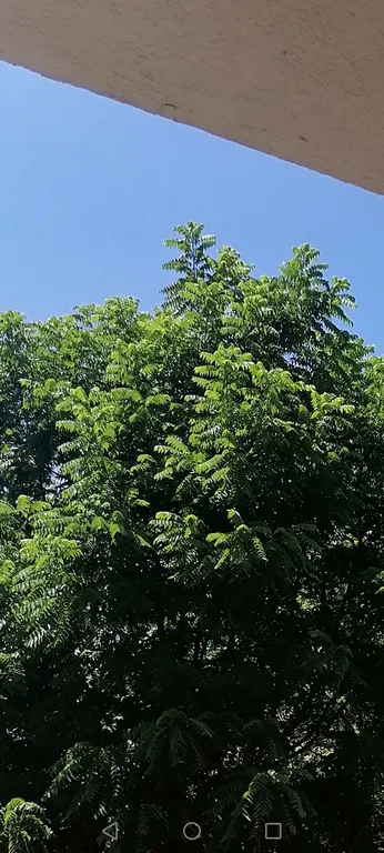 Квартира Уютная квартира в центре Адлера — Адлер