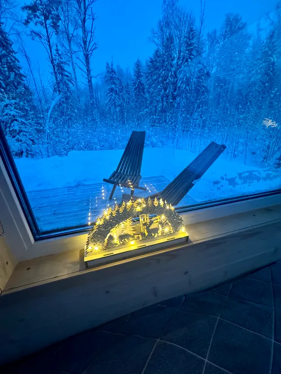 Уютный домик с панорамным окном и видом на лес