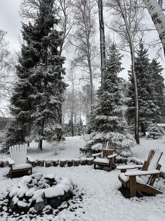 Уютный дом на живописной поляне в лесу с панорамными окнами