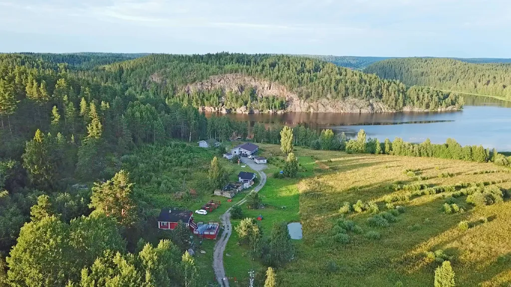 Фиалковый дом на Ладоге