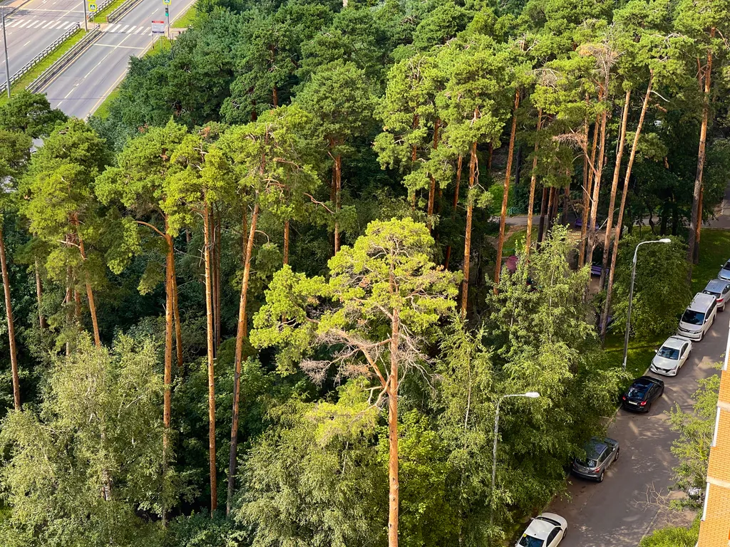 Просторная 1-комнатная квартира у ЖД станции Одинцово