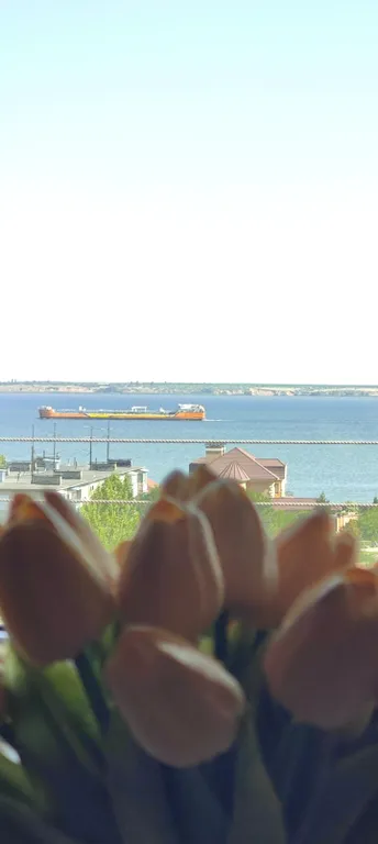 Уютная квартира на набережной с видом на Волгу со всеми удобствами