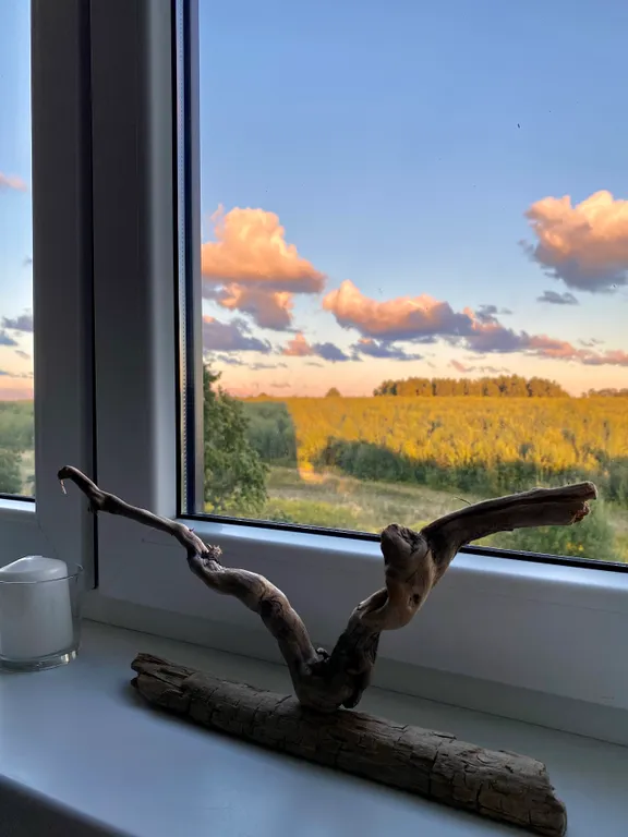 Квартира Квартира Апартамент Mint — Светлогорск