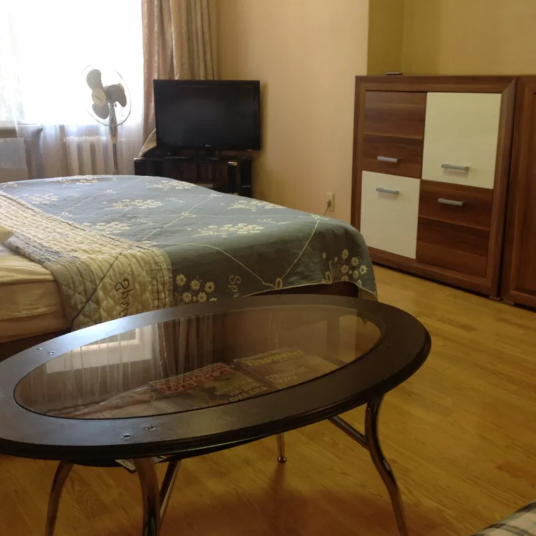 Просторная квартира в тихом центре