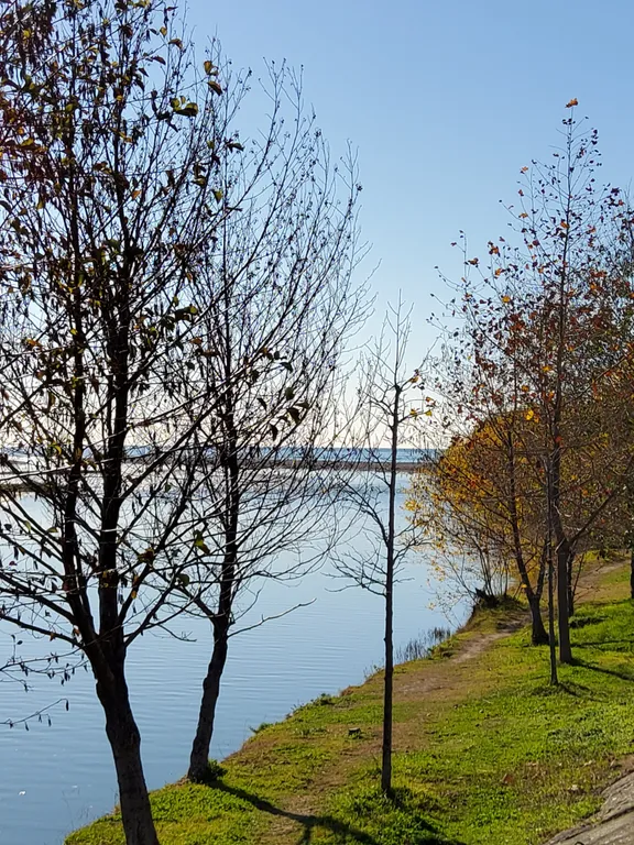 Квартира 1-комнатная Квартира — Сириус