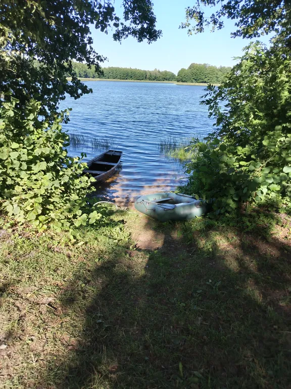 Усадьба Сосновый дом