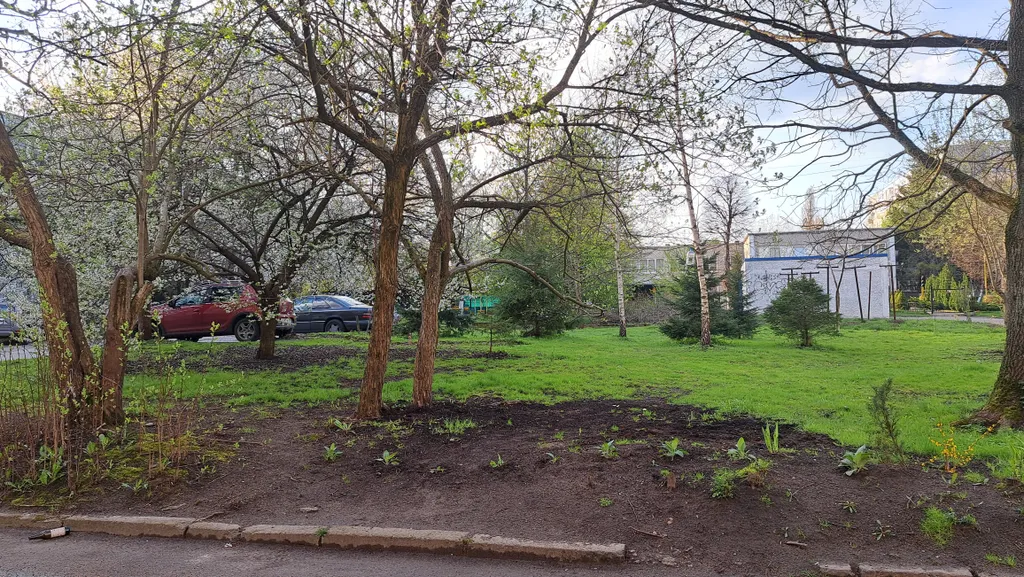 Квартира Уютная квартира в тихом и зеленом районе — Калининград