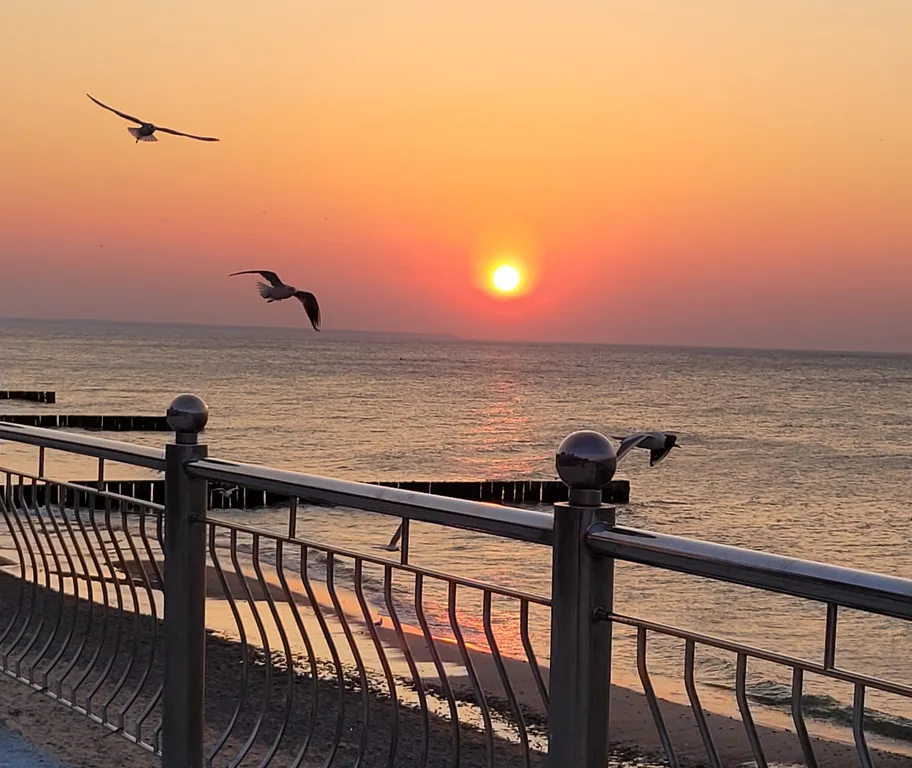 Вилла Морская - уютный дом с бассейном на берегу Балтийского моря