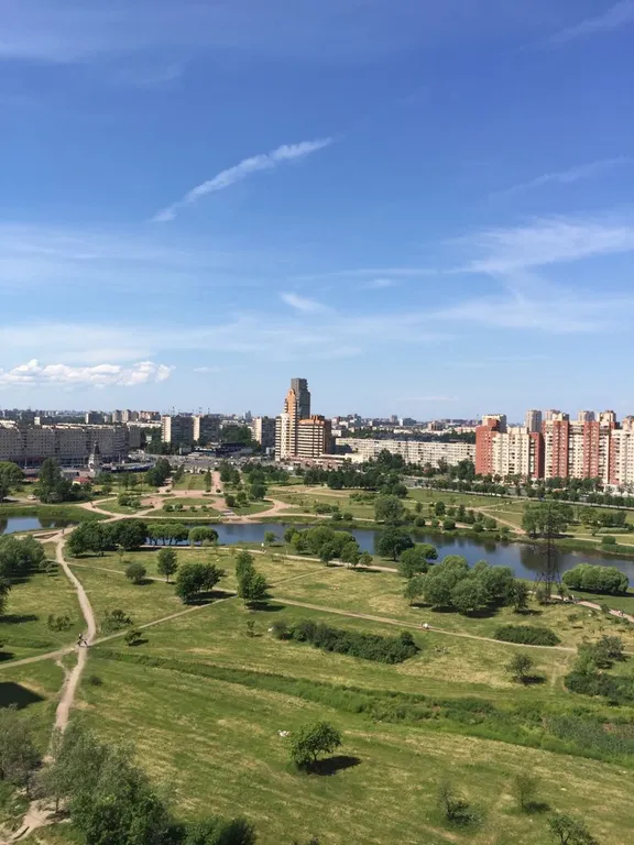 Уютные апартаменты у метро проспект Славы