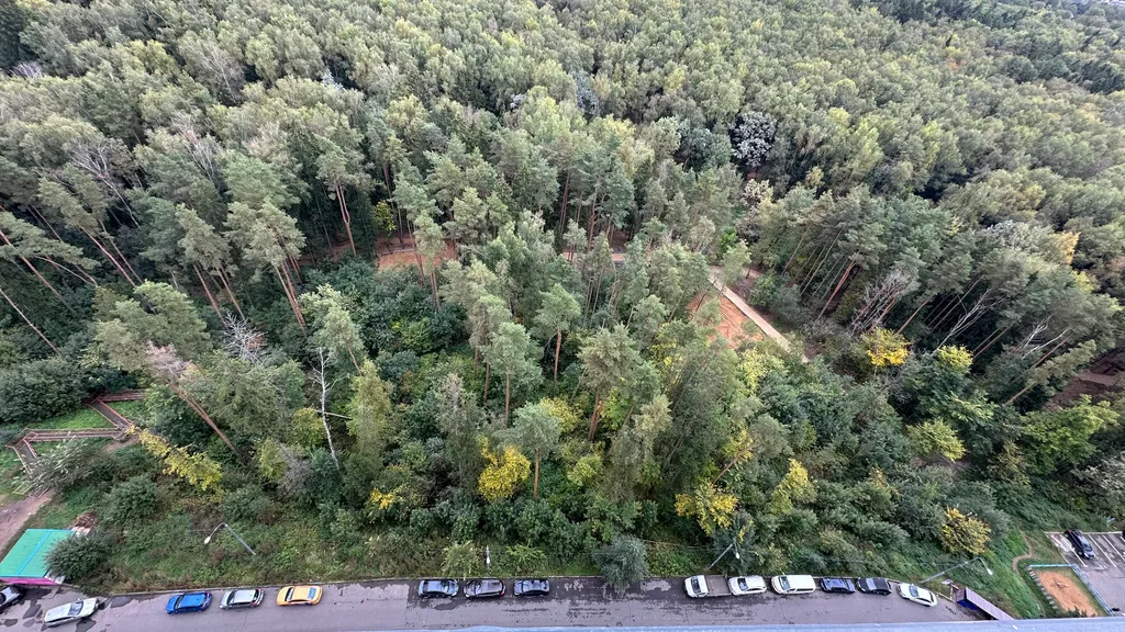 Простая однушка с видом на лес