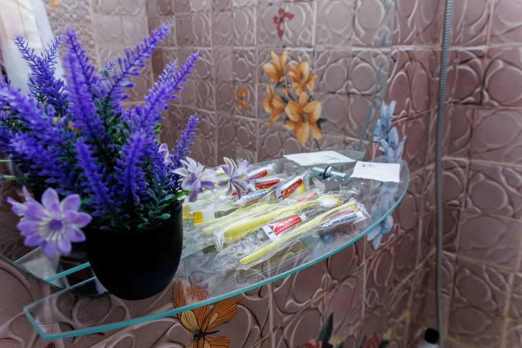 Компакт плюс