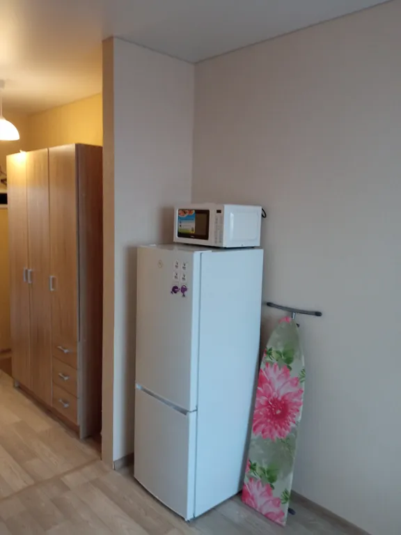 Студия с видом на пруд