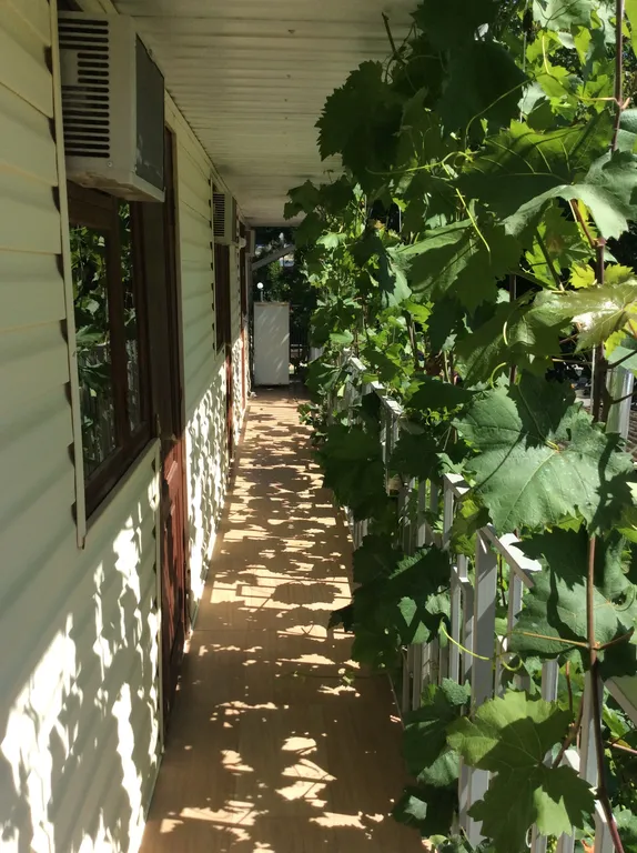 Бюджетные номера у моря