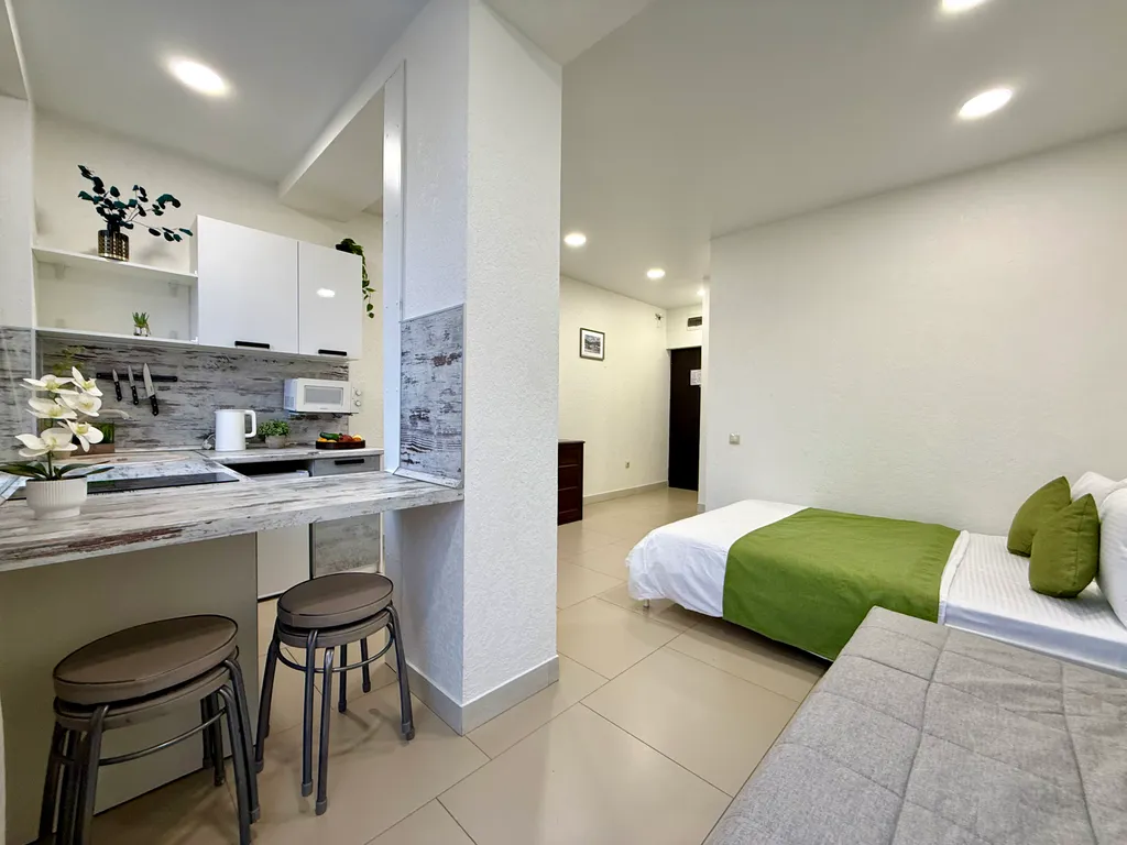 №28 cтудия-делюкс