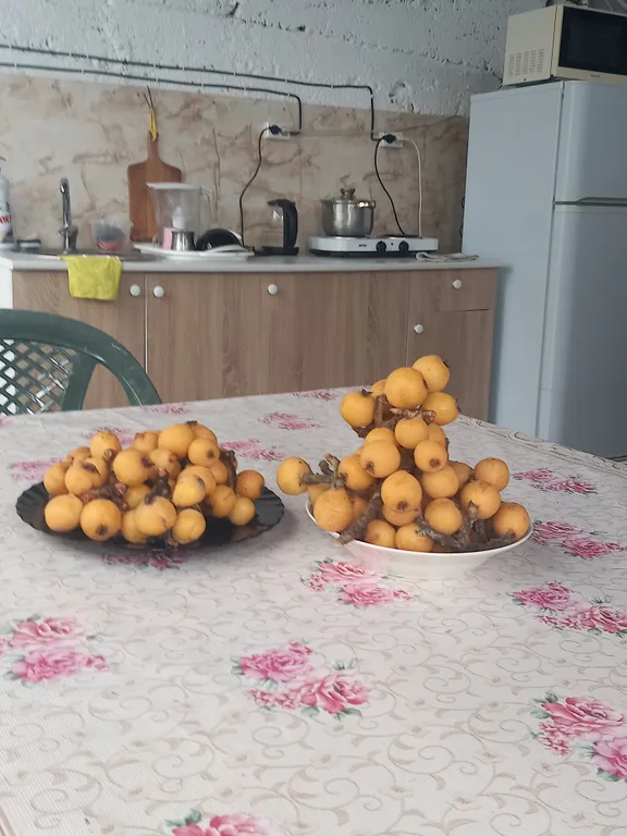 Комната с видом на море