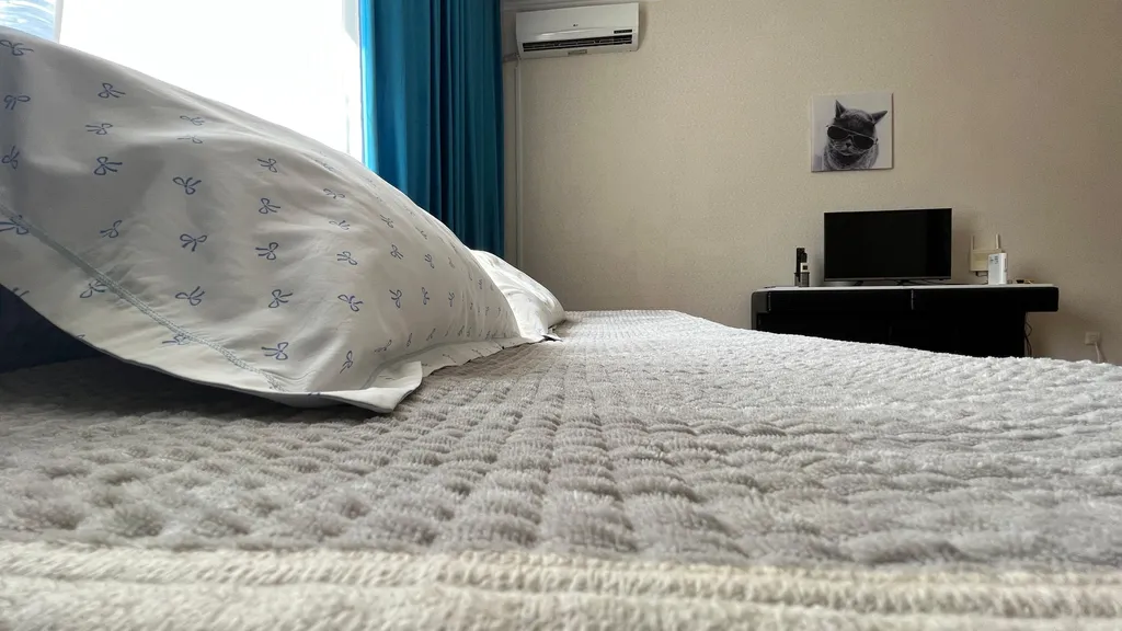 Большая, уютная квартира