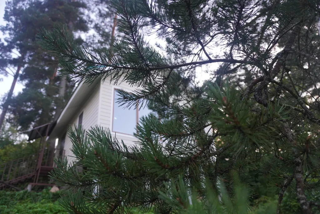 Домик на горке с баней