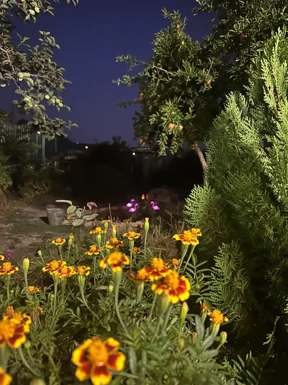 Дачный гостиный дом недалеко от моря