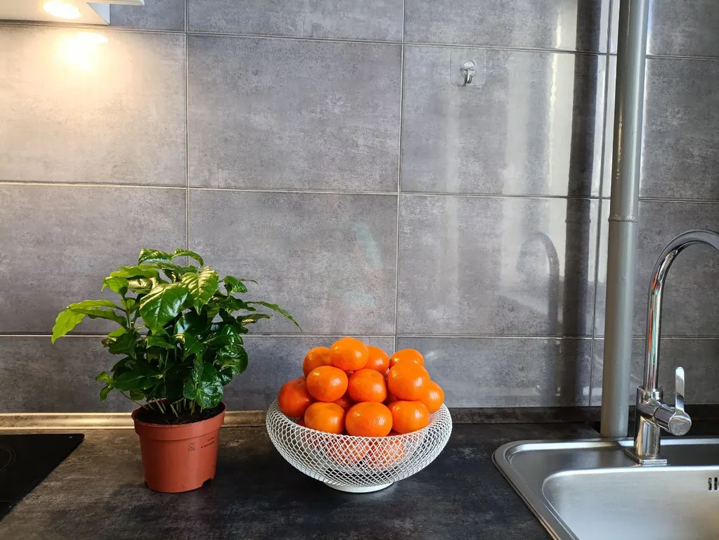 Квартира рядом с королевскими воротами в 10 минутах от центра города