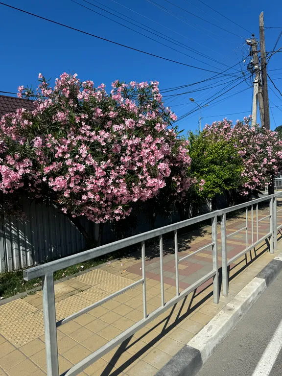 2-местный стандартный номер у моря