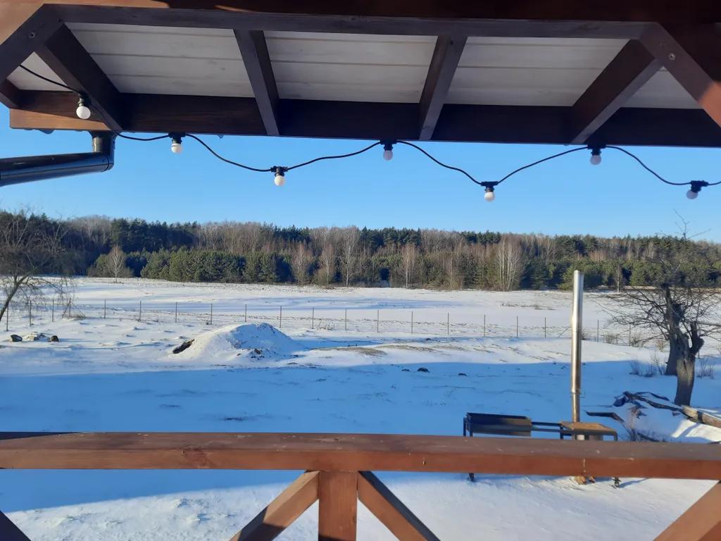 Домик в Пуще у озера