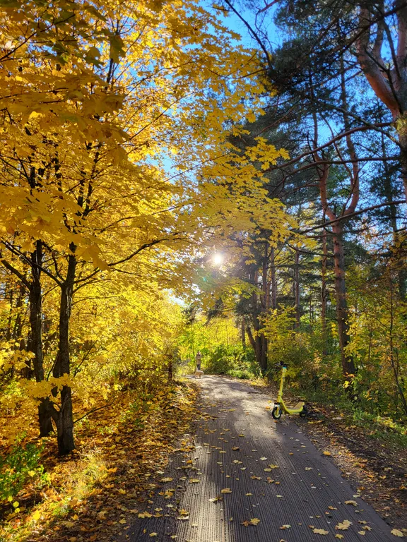 Стильный дом у озера Разлив