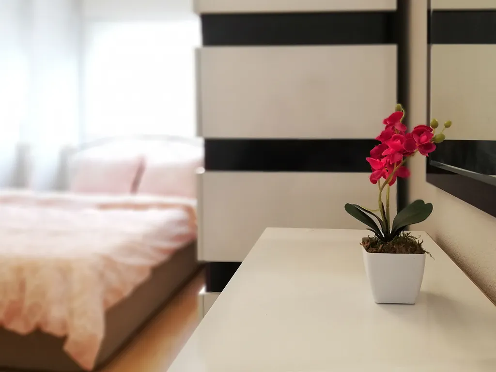 Квартира на пляже Клеопатры