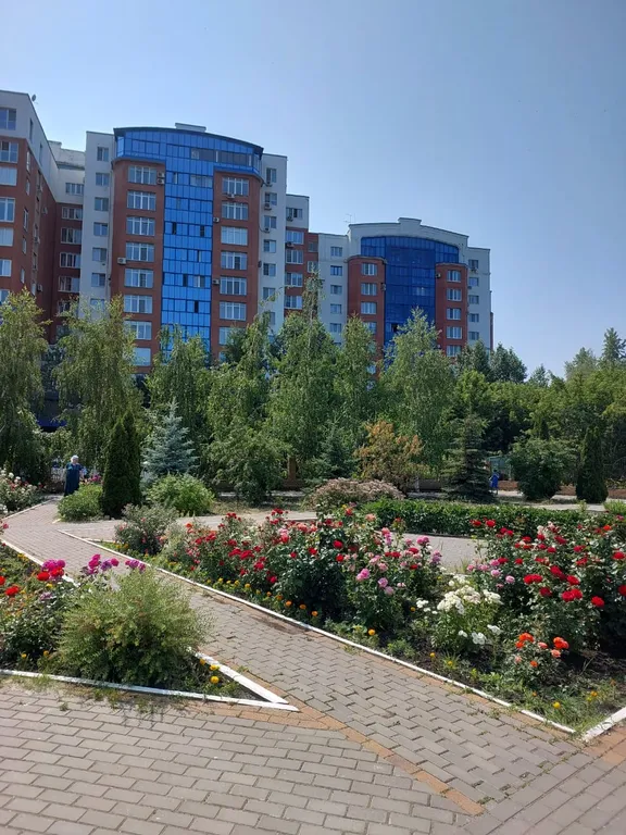 Элегантная студия 4 на берегу Волги