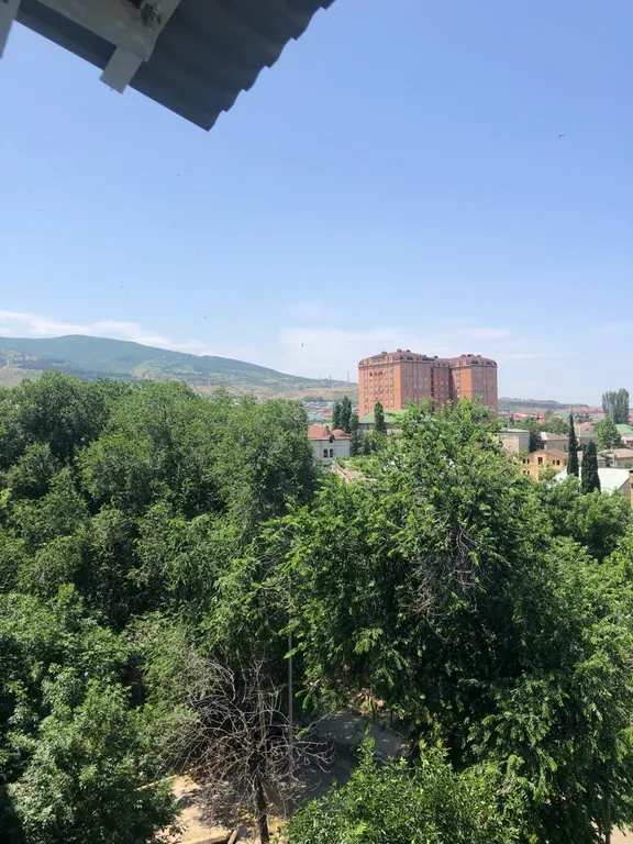 Квартира в тихом районе города