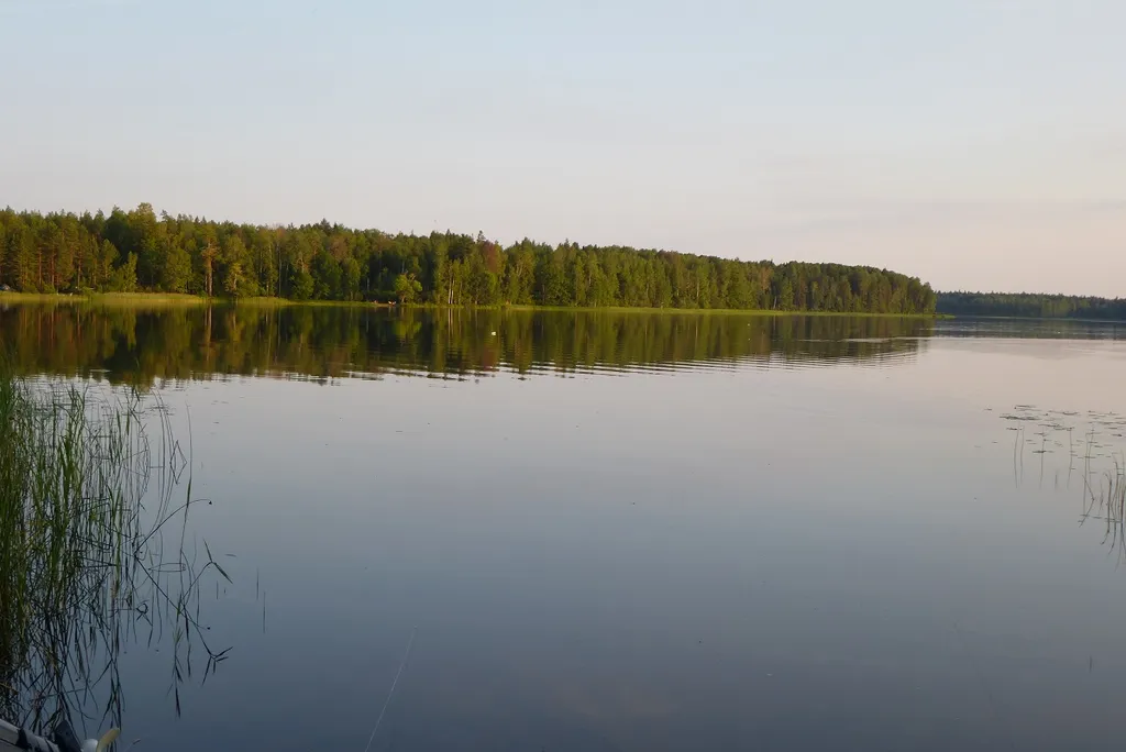 Дом охотника Бобровец