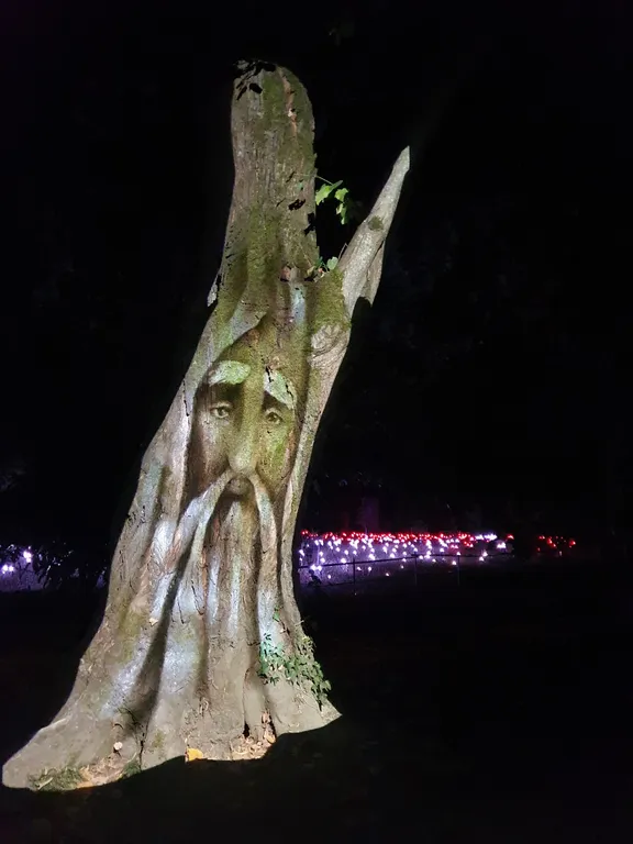Квартира 1-комнатная Квартира — Адлер