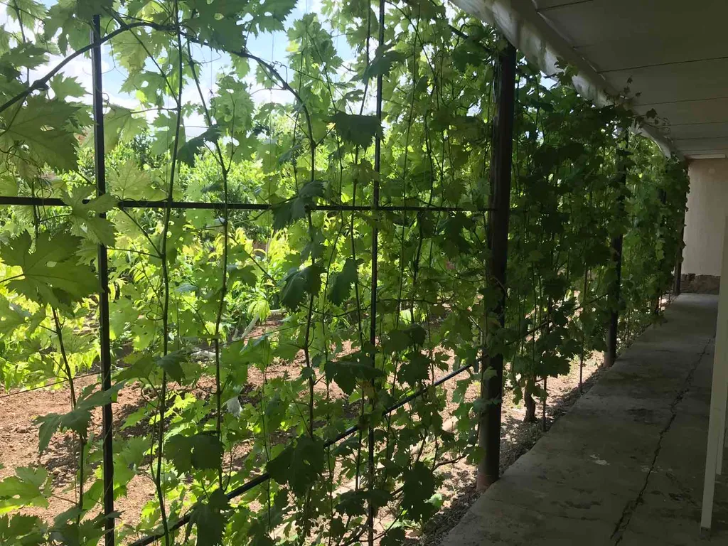 Индивидуальные номера на земле в уютном дворике