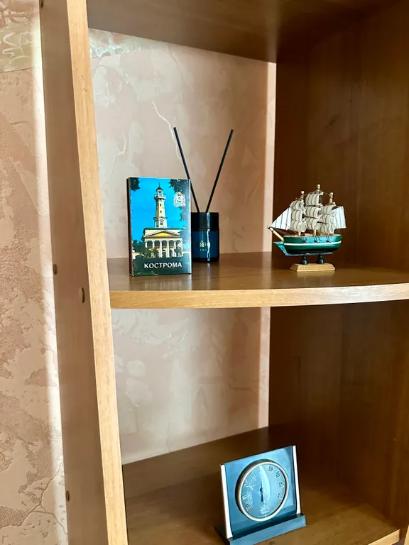 Трёхкомнатная квартира в центре города