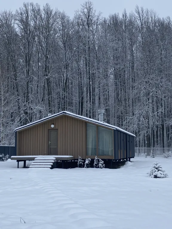 Коттедж Уютный дом с видом на лес — аренда посуточно в Сафоново