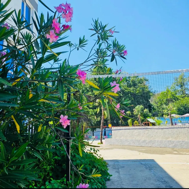 Студия с бассейном на территории