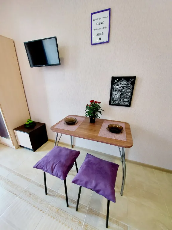 Квартира Квартира Violet apartment в центре, для вас пляж Сочифония и Мандарин — Сириус
