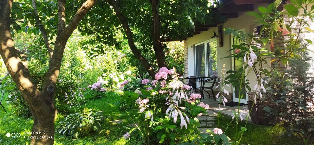 Студия с видом на сад