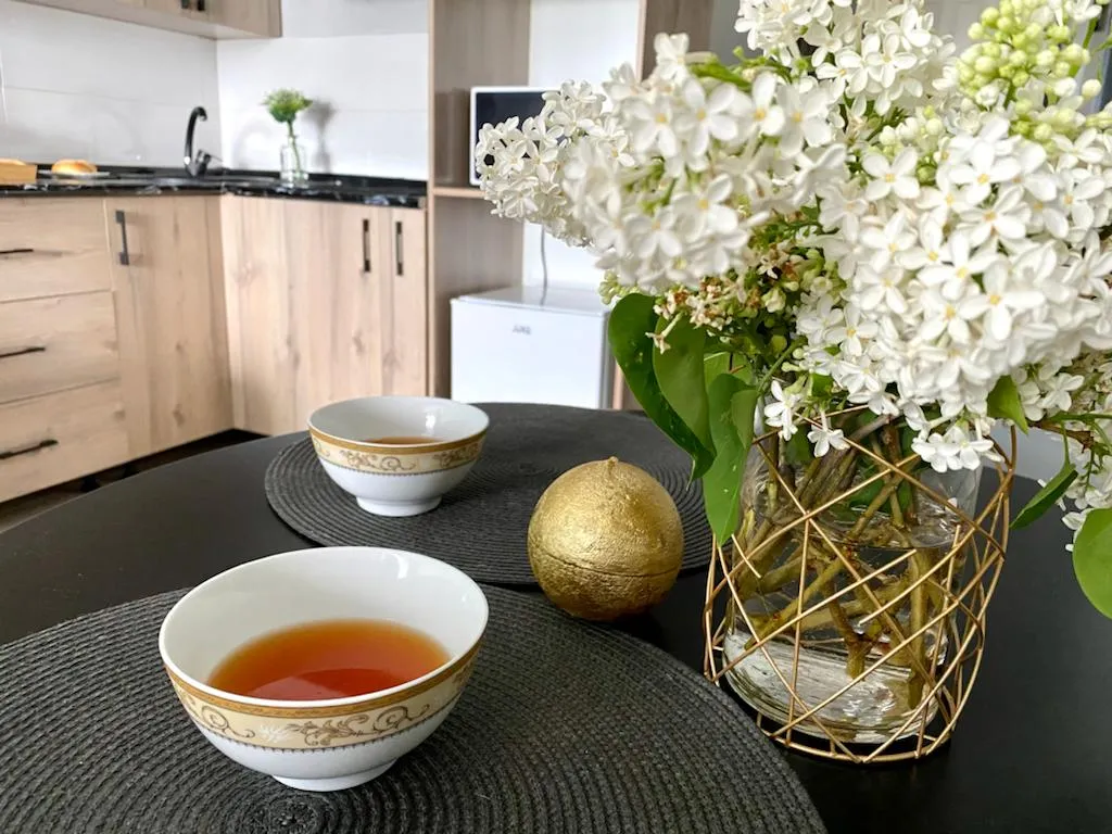 Студия Көктем с национальным колоритом и  видом на город