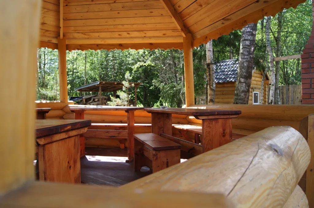 Дом в сосновом бору на озере