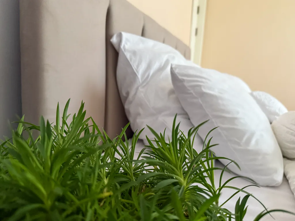 Семейная квартира у Таврического сада