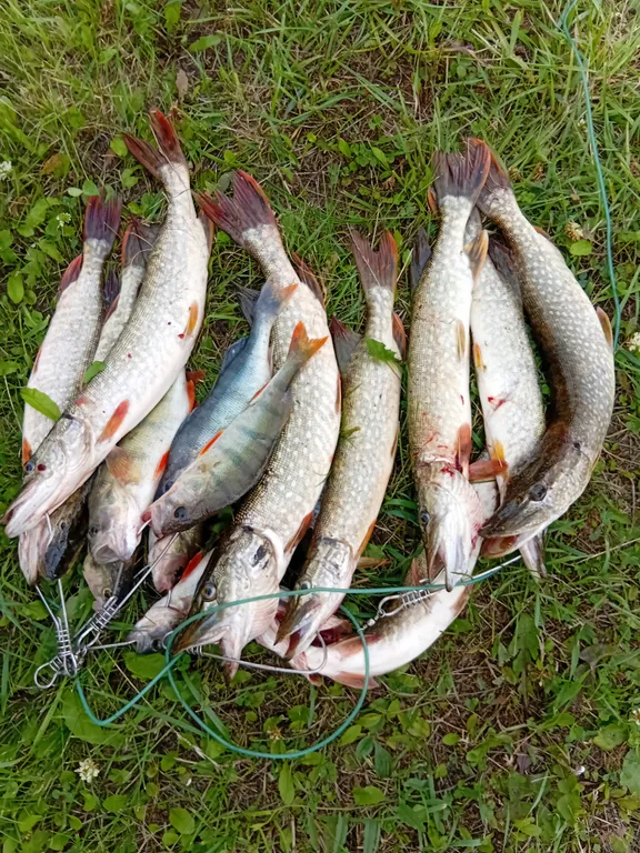 Уютный дом на берегу озера Камбулат