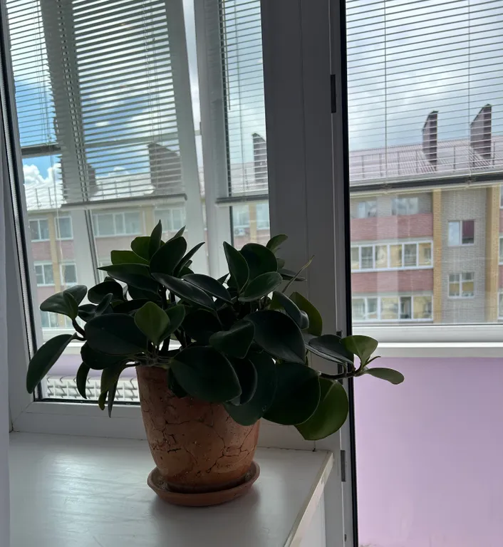 Квартира в центре