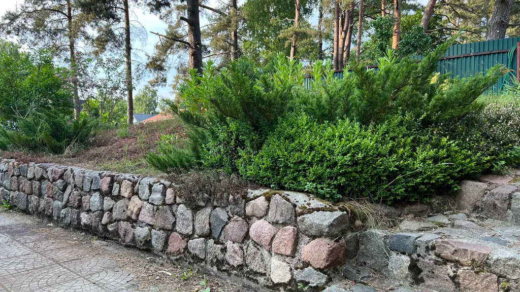 Коттедж Гостевой Дом Ветрово — Сосновка